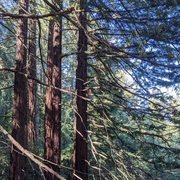 Meet your Posher, Sr - Picture 1 of 1